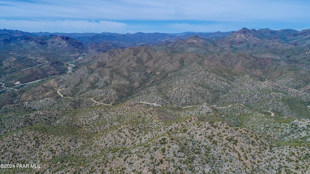 000 Champie Rd, Morristown, AZ 85342 - photo 7