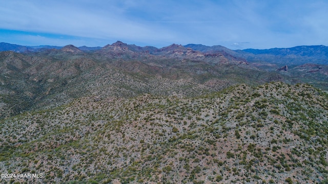 000 Champie Rd, Morristown, AZ 85342 - photo 6