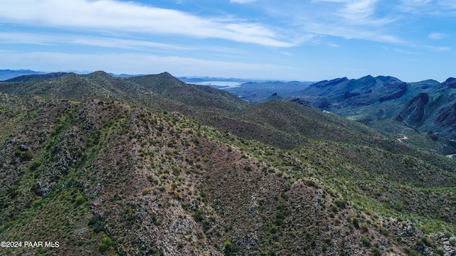 000 Champie Rd, Morristown, AZ 85342 - photo 4