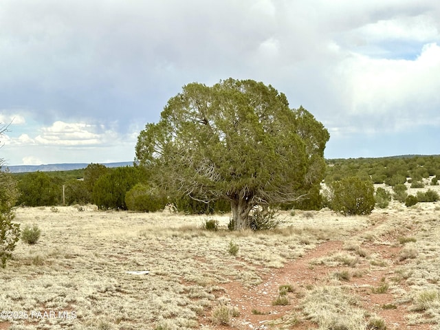 64735 N Flaming Star Dr, Seligman, AZ 86337 - photo 4