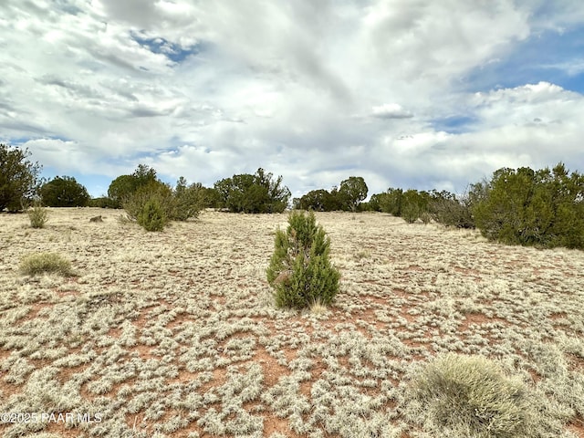 64735 N Flaming Star Dr, Seligman, AZ 86337 - photo 5