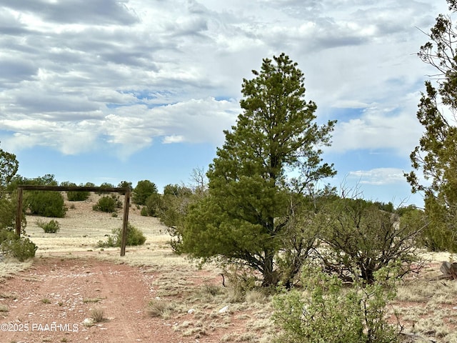 64735 N Flaming Star Dr, Seligman, AZ 86337 - photo 6