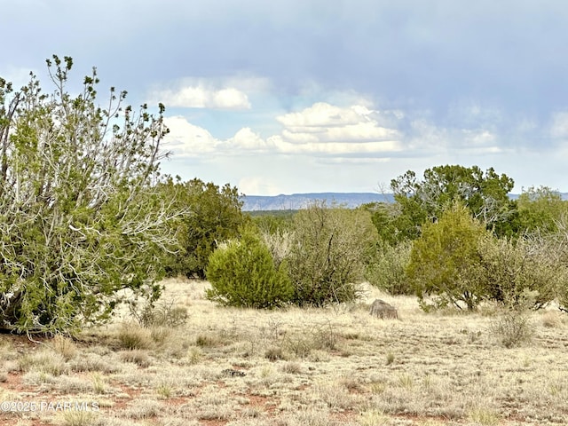 64735 N Flaming Star Dr, Seligman, AZ 86337 - photo 2