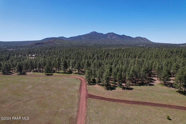 581 Cooper Ranch Rd, Williams, AZ 86046 - photo 25