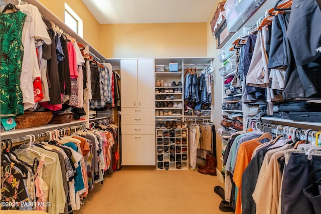 1646 Constable St, Prescott, AZ 86301 - spacious closet featuring carpet flooring