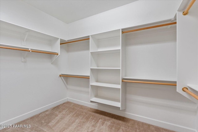 spacious closet with light colored carpet