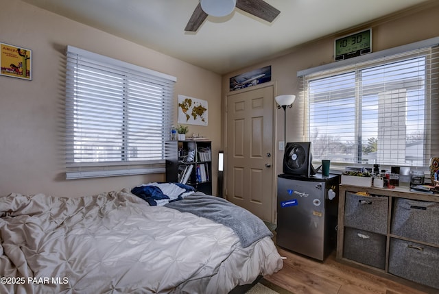 bedroom with multiple windows, ceiling fan, and light wood-type flooring