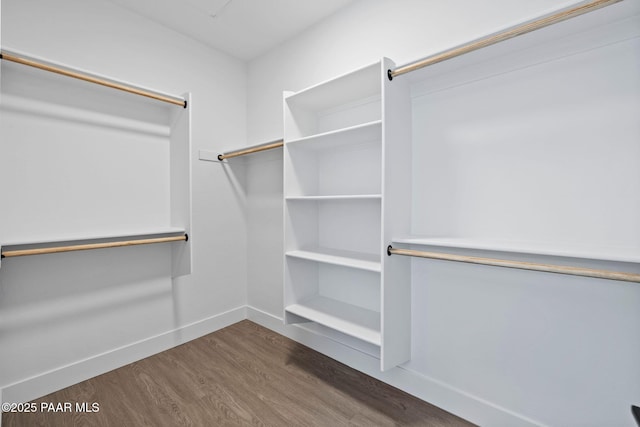 spacious closet featuring dark wood-type flooring