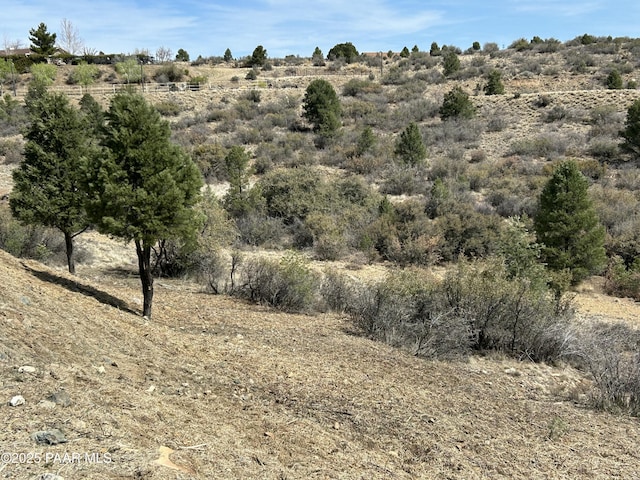 16776 W Trap Rd, Peeples Valley, AZ 86332