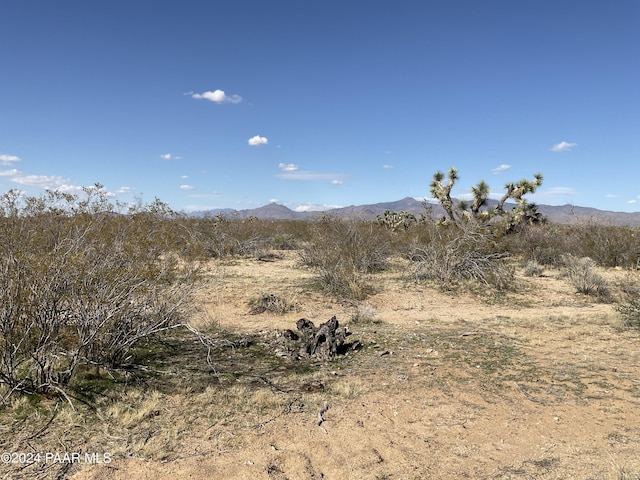 TBE E Red Barrel Dr, Yucca, AZ 86438 - photo 6