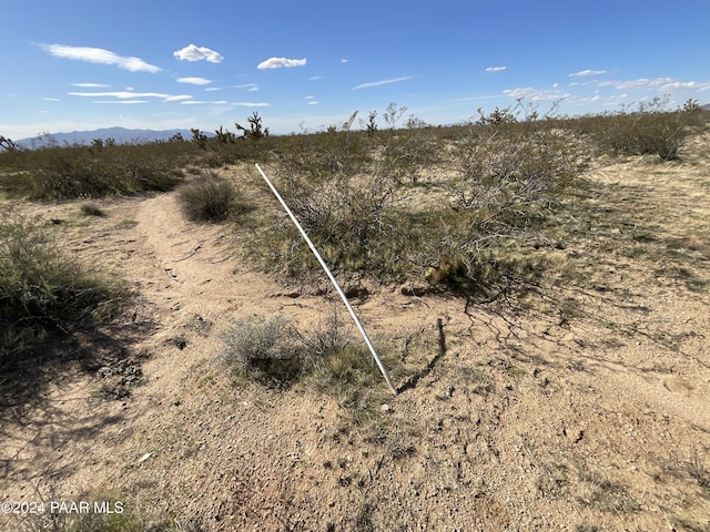 TBE E Red Barrel Dr, Yucca, AZ 86438 - photo 4
