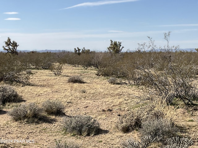 TBE E Red Barrel Dr, Yucca, AZ 86438 - photo 5