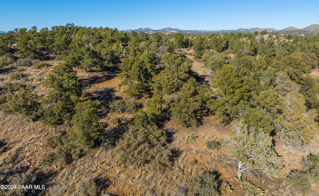 12920 N Celestial View Trl, Prescott, AZ 86305