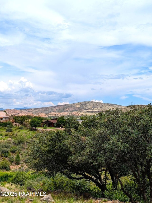 1810 Reading Ln, Prescott, AZ 86301 - photo 20