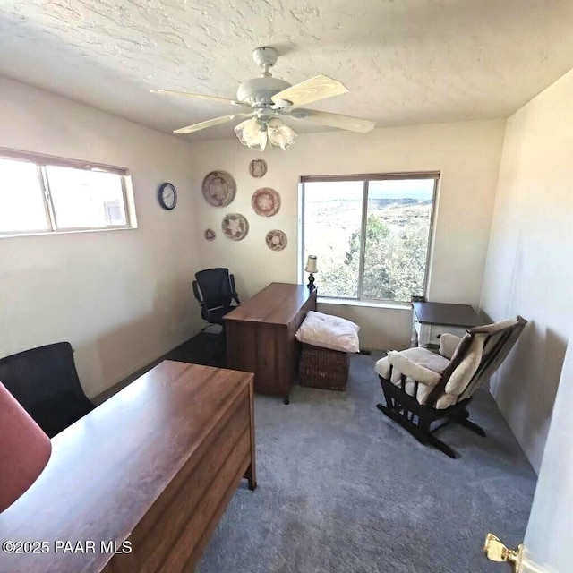 1810 Reading Ln, Prescott, AZ 86301 - photo 16