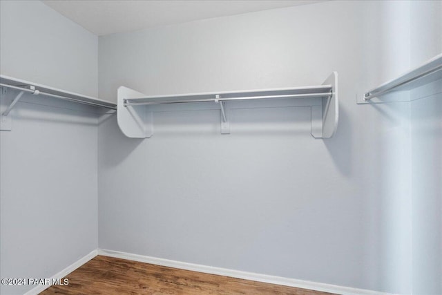 walk in closet featuring dark wood-type flooring