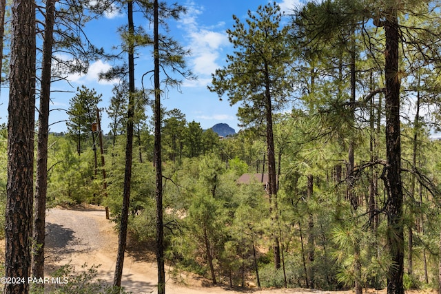 view of local wilderness