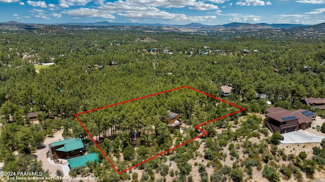 birds eye view of property featuring a mountain view