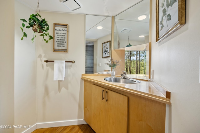 bathroom with hardwood / wood-style flooring and vanity