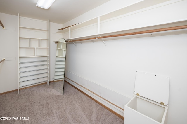 1104 Country Club Dr, Prescott, AZ 86303 - walk in closet with carpet