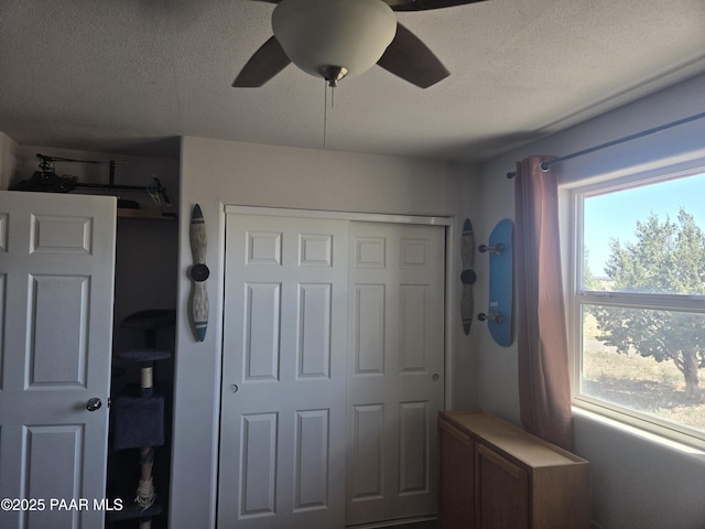 1400 Tanner, Ash Fork, AZ 86320 - photo 15