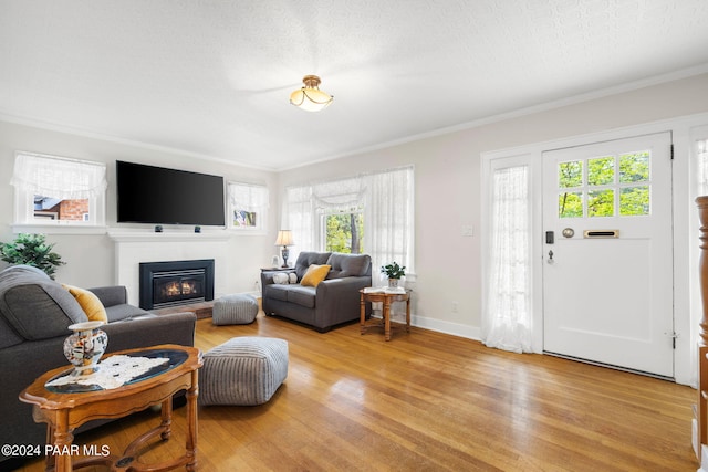 living room with a wealth of natural light, light hardwood / wood-style flooring, and a textured ceiling