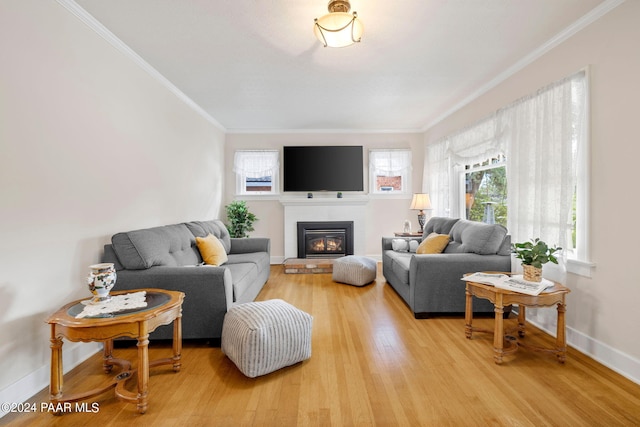 living room with wood-type flooring and crown molding