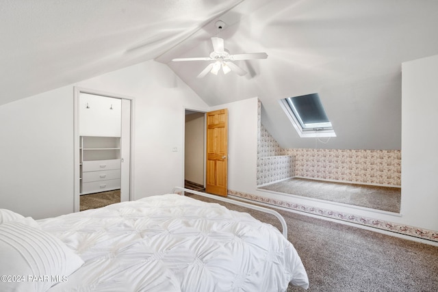 bedroom featuring ceiling fan, carpet floors, a walk in closet, a closet, and vaulted ceiling with skylight