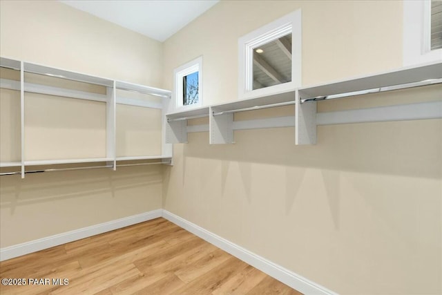 walk in closet featuring hardwood / wood-style flooring