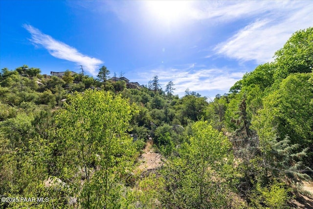 1142 Mary Dr, Prescott, AZ 86305 - photo 26