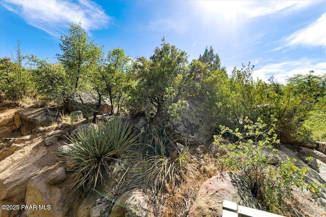 1142 Mary Dr, Prescott, AZ 86305 - photo 25