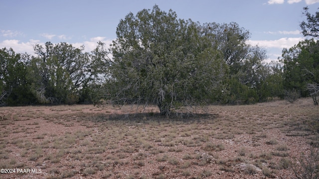 55719 N Cabra Ln, Seligman AZ, 86337 land for sale