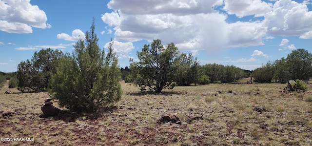 3706 Verde Rd, Williams, AZ 86046 - photo 5