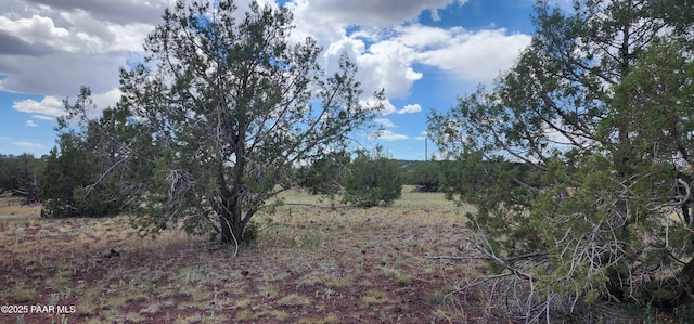 3706 Verde Rd, Williams, AZ 86046 - photo 1