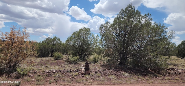 3706 Verde Rd, Williams, AZ 86046 - photo 3