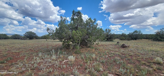3706 Verde Rd, Williams, AZ 86046 - photo 11