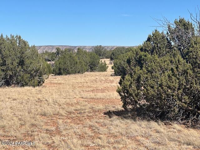 58237 N Calle Isabel, Seligman AZ, 86337 land for sale