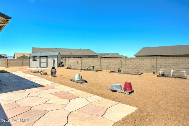 view of yard with a patio and a storage shed