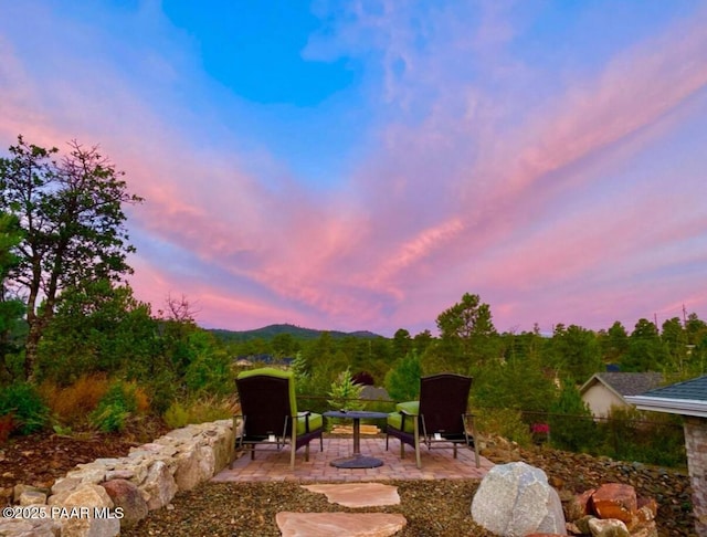 view of yard featuring a patio