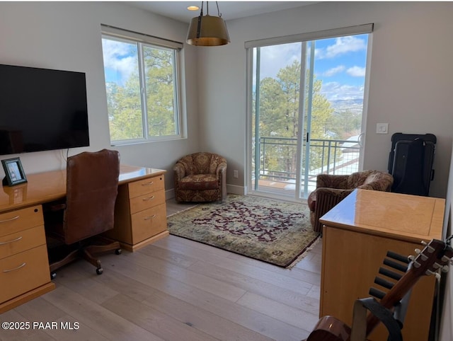 office space featuring light wood-style floors