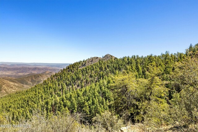 0 Fire Ridge Rd, Prescott, AZ 86303 - photo 25
