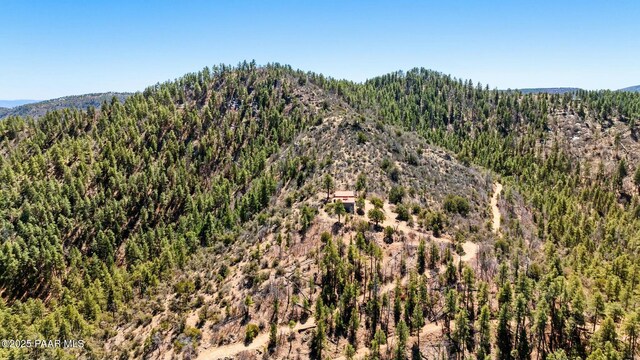 0 Fire Ridge Rd, Prescott, AZ 86303 - photo 26