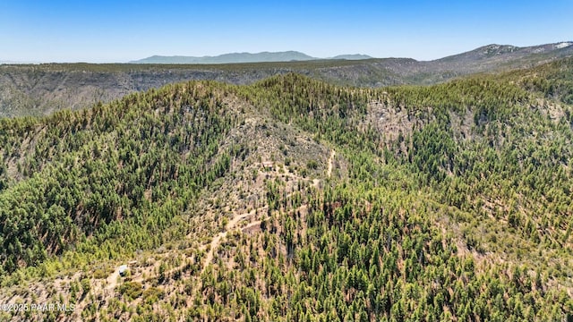 0 Fire Ridge Rd, Prescott, AZ 86303 - photo 28