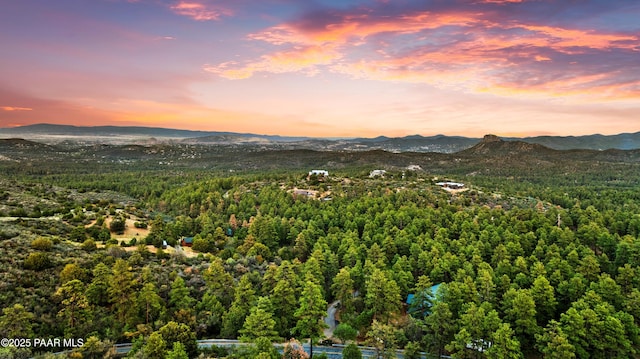 1515 N Happy Valley Rd Unit 3 & 4, Prescott, AZ 86305 - view of mountain backdrop featuring a heavily wooded area
