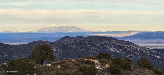 1515 N Happy Valley Rd Unit 3 & 4, Prescott, AZ 86305 - mountain view
