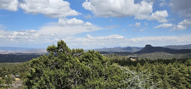 1515 N Happy Valley Rd Unit 3 & 4, Prescott, AZ 86305 - view of mountain background