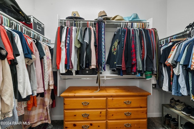 spacious closet with carpet