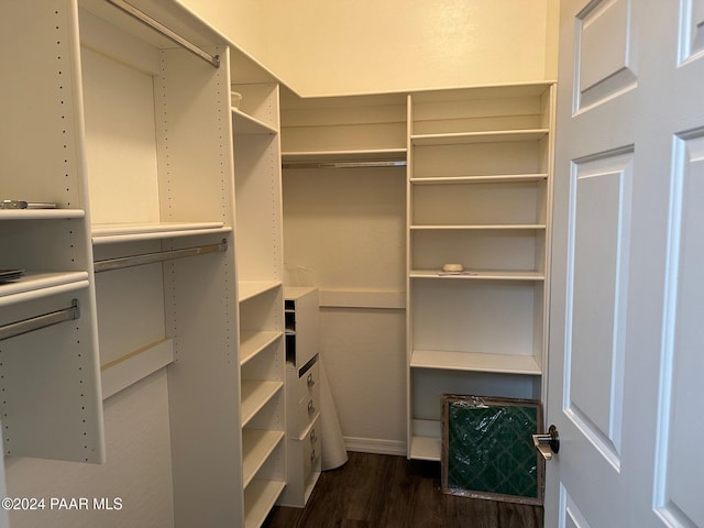 14575 W Mountain View Blvd Unit 11113, Surprise, AZ 85374 - spacious closet with dark wood-style flooring