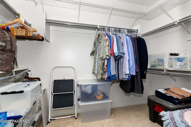 walk in closet with light colored carpet