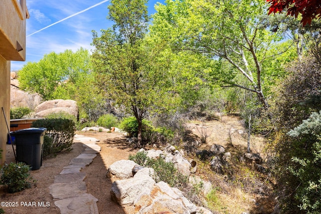 4710 Echo Canyon Pl, Prescott, AZ 86301 - view of yard